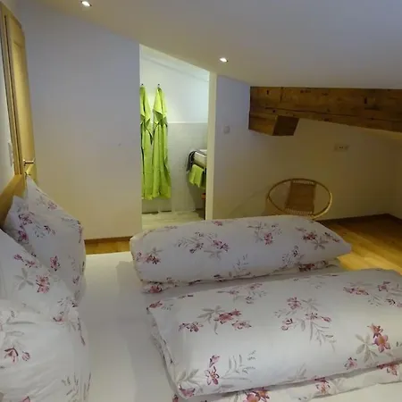 شقة Gemuetliche Dachgeschosswohnung Mit Balkon & Garten